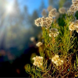 Meet your Posher, Sonia